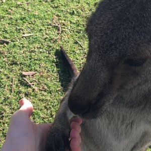 Meet your Posher, David